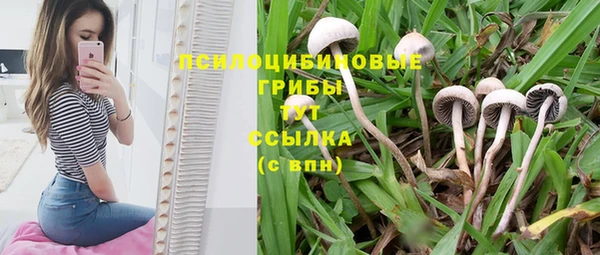гидропоника Алексин